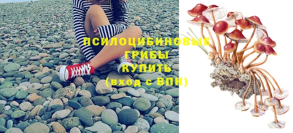 индика Краснослободск