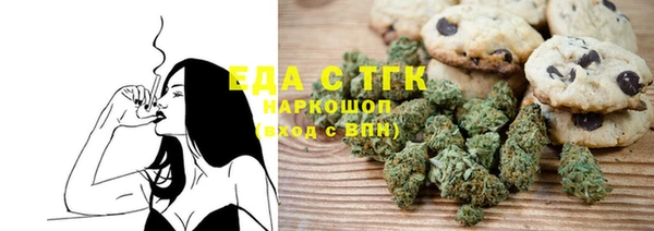 индика Краснослободск