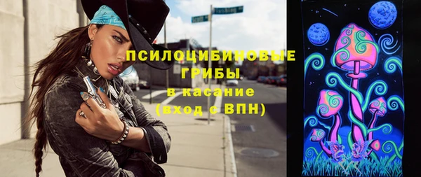 индика Краснослободск