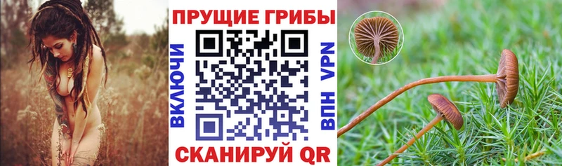 Псилоцибиновые грибы Magic Shrooms  Купить где  Мураши 